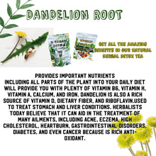 Load image into Gallery viewer, NEW 1 BAG OF VIVENER DETOX TEA with 30 baggies inside (FOR SENSITIVE STOMACH) SOFTER VERSION 🌱with extra ginger and ginger aftertaste ✅FOR MORE IMMUNE SUPPORT BOOST