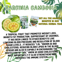 Load image into Gallery viewer, NEW 1 BAG OF VIVENER DETOX TEA with 30 baggies inside (FOR SENSITIVE STOMACH) SOFTER VERSION 🌱with extra ginger and ginger aftertaste ✅FOR MORE IMMUNE SUPPORT BOOST