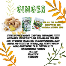 Load image into Gallery viewer, NEW 1 BAG OF VIVENER DETOX TEA with 30 baggies inside (FOR SENSITIVE STOMACH) SOFTER VERSION 🌱with extra ginger and ginger aftertaste ✅FOR MORE IMMUNE SUPPORT BOOST